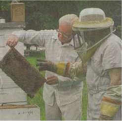 Donnis Ivy, left, shows A.C. Langford some of the bees he is raising near his home in Splendora. Both men are members of the Montgomery County Beekeepers Association.